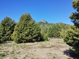  Terreno (Parcela) en venta en Neuquen, Lacar, Neuquen