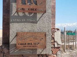  Terreno (Parcela) en venta en Lujan De Cuyo, Mendoza, Lujan De Cuyo