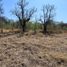  Land for sale in Punilla, Cordoba, Punilla