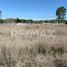  Land for sale in Confluencia, Neuquen, Confluencia