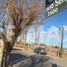  Land for sale in Confluencia, Neuquen, Confluencia