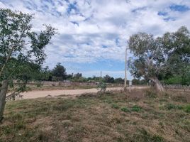  Land for sale in Santa Fe, La Capital, Santa Fe