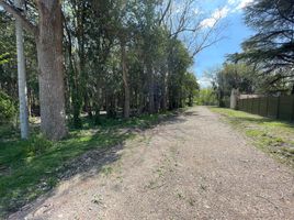  Land for sale in La Plata, Buenos Aires, La Plata