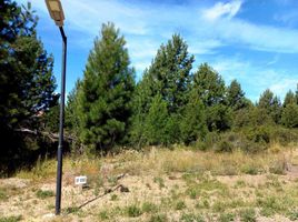  Land for sale in Rio Negro, Bariloche, Rio Negro