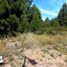  Land for sale in Rio Negro, Bariloche, Rio Negro