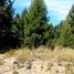  Land for sale in Rio Negro, Bariloche, Rio Negro