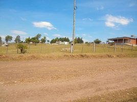  Land for sale in Santa Maria, Cordoba, Santa Maria