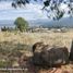  Land for sale in Azcapotzalco, Mexico City, Azcapotzalco