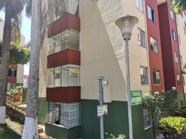 3 Habitación Apartamento en alquiler en Santander, Floridablanca, Santander