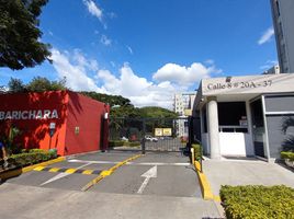 3 Habitación Departamento en alquiler en Palmira, Valle Del Cauca, Palmira