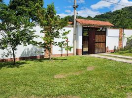 5 Bedroom House for sale in Chinacota, Norte De Santander, Chinacota