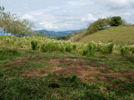  Terreno (Parcela) en venta en Alcala, Valle Del Cauca, Alcala