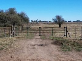  Terreno (Parcela) en venta en Capital Federal, Buenos Aires, Capital Federal