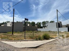  Land for sale in Confluencia, Neuquen, Confluencia