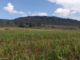  토지을(를) Amealco De Bonfin, Queretaro에서 판매합니다., Amealco De Bonfin