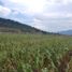  토지을(를) Amealco De Bonfin, Queretaro에서 판매합니다., Amealco De Bonfin