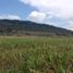  토지을(를) Amealco De Bonfin, Queretaro에서 판매합니다., Amealco De Bonfin