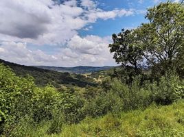  토지을(를) Amealco De Bonfin, Queretaro에서 판매합니다., Amealco De Bonfin