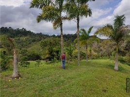 Estudio Casa en venta en Colombia, La Vega, Cundinamarca, Colombia