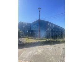 2 Bedroom Apartment for rent in Chiloe, Los Lagos, Ancud, Chiloe