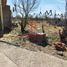  Land for sale in Cuauhtemoc, Chihuahua, Cuauhtemoc
