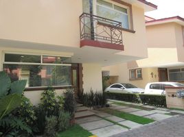 4 Habitación Apartamento en venta en Coyoacan, Ciudad de México, Coyoacan