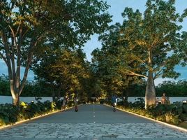  Grundstück zu verkaufen in Conkal, Yucatan, Conkal