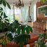 6 Habitación Casa en venta en Tepoztlan, Morelos, Tepoztlan