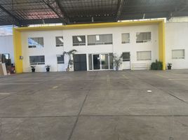 38 SqM Office for rent in Puebla, San Andres Cholula, Puebla