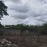  Grundstück zu verkaufen in Dzemul, Yucatan, Dzemul
