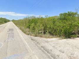  Grundstück zu verkaufen in Dzemul, Yucatan, Dzemul