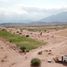  Land for sale in Cafayate Salta, Cafayate