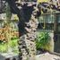 Maison 3 chambre à vendre à Atizapan De Zaragoza, Mexico, Atizapan De Zaragoza