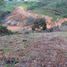  Terreno (Parcela) en venta en La Ceja, Antioquia, La Ceja, Antioquia