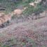  Terreno (Parcela) en venta en La Ceja, Antioquia, La Ceja, Antioquia