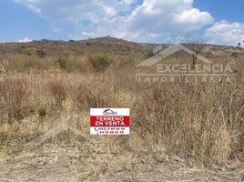 Land for sale in Tarimbaro, Michoacan, Tarimbaro