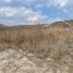  Land for sale in Tarimbaro, Michoacan, Tarimbaro