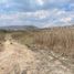 Land for sale in Tarimbaro, Michoacan, Tarimbaro
