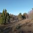  Land for sale in Neuquen, Lacar, Neuquen