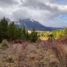 Grundstück zu verkaufen in Cushamen, Chubut, Cushamen, Chubut