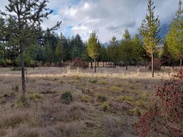  Grundstück zu verkaufen in Cushamen, Chubut, Cushamen, Chubut