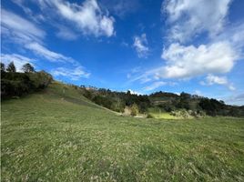  Terreno (Parcela) en venta en San Vicente, Antioquia, San Vicente