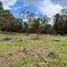  Terreno (Parcela) en venta en Rionegro, Antioquia, Rionegro, Antioquia