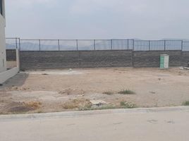  Terreno (Parcela) en venta en San Agustin Tlaxiaca, Hidalgo, San Agustin Tlaxiaca, Hidalgo