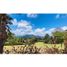  Terreno (Parcela) en venta en Rionegro, Antioquia, Rionegro, Antioquia