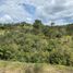  Land for sale in El Carmen De Viboral, Antioquia, El Carmen De Viboral