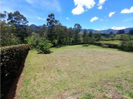  Terreno (Parcela) en venta en La Ceja, Antioquia, La Ceja