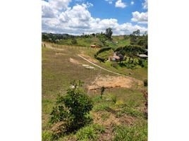  Grundstück zu verkaufen in Guarne, Antioquia, Guarne, Antioquia