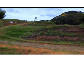  Terreno (Parcela) en venta en Rionegro, Antioquia, Rionegro, Antioquia, Colombia