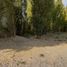  Land for sale in Neuquen, Confluencia, Neuquen